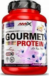 Amix Nutrition Gourmet Protein, 1000 g, Blueberry-Yoghurt